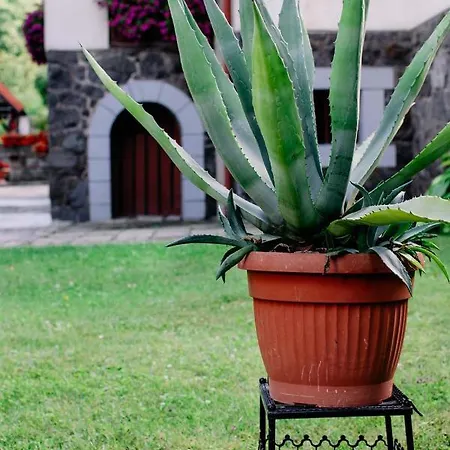 Privat bolig Staszica16 Złoty Stok