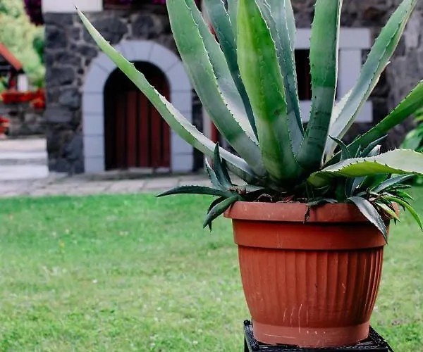 Privatunterkunft Staszica16 Złoty Stok